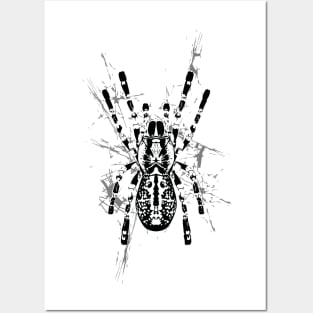 Black negative spider on web Posters and Art